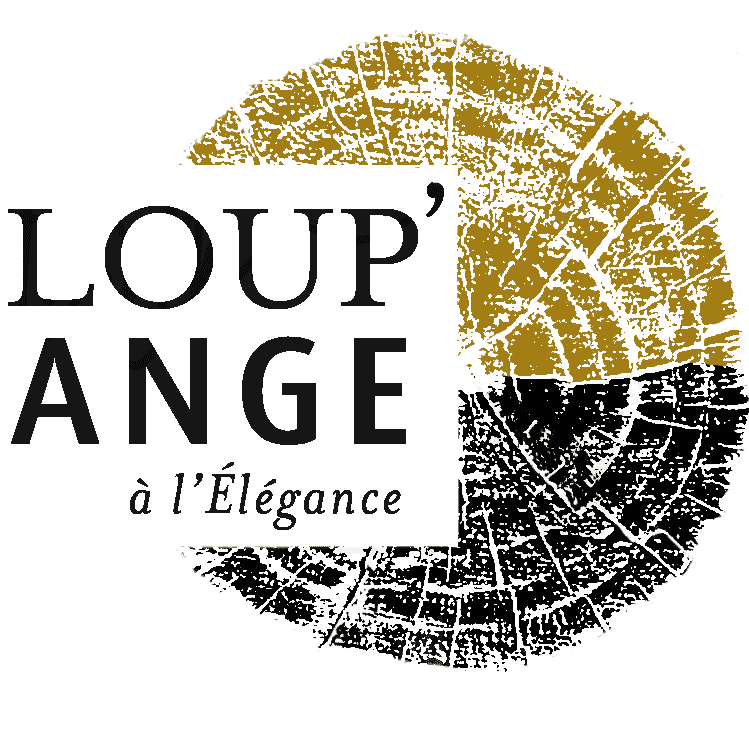 Logo Loup Ange friperies