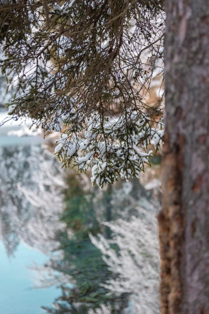 nature et biodiversité protégée