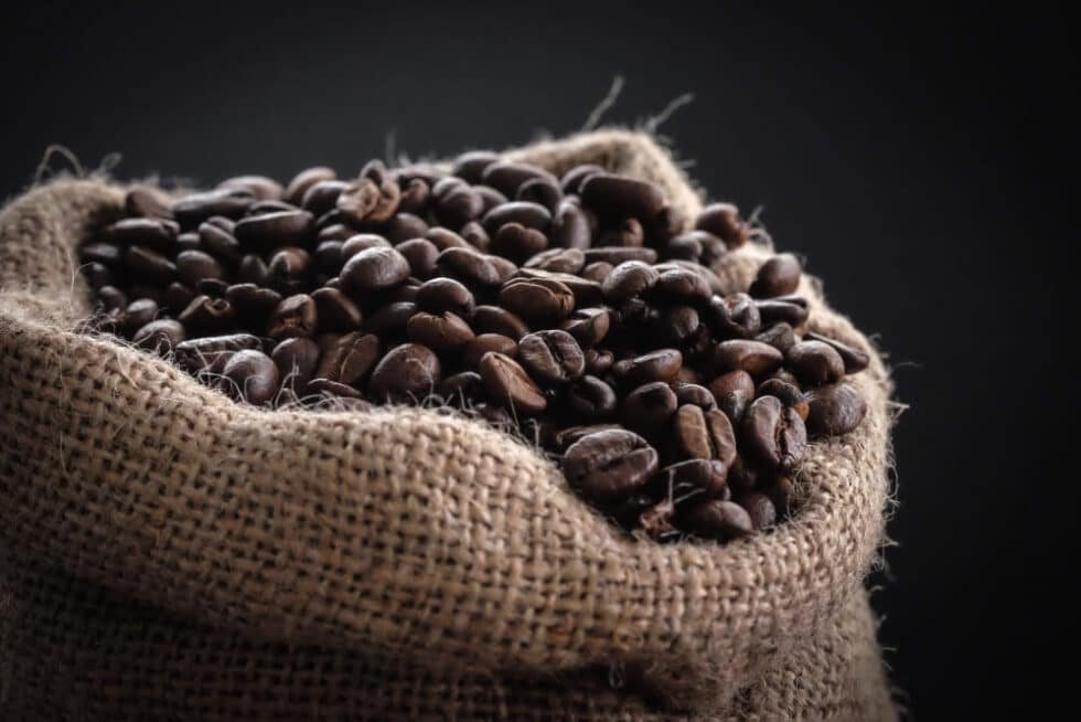 Comment réutiliser son marc de café ?